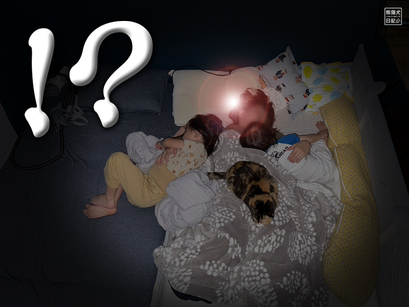 子供たちと猫の就寝風景