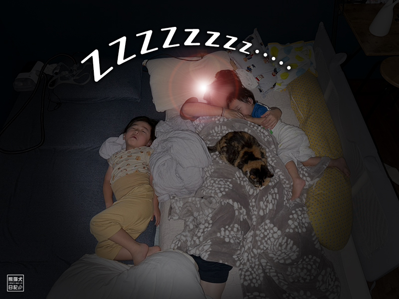 子供たちと猫の就寝風景