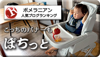 人気ブログランキング