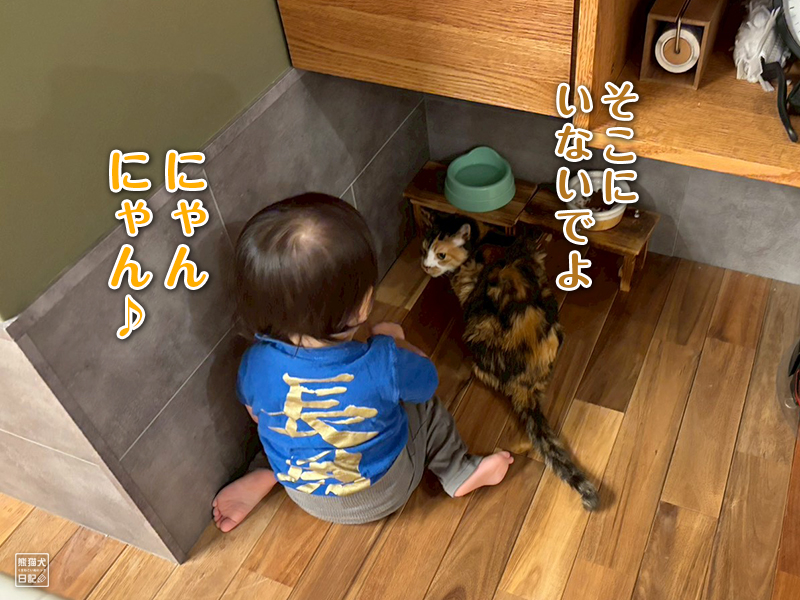 ツンデレ三毛猫の稚葉