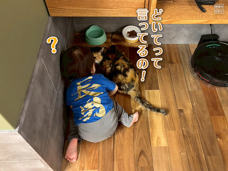 ツンデレ三毛猫の稚葉