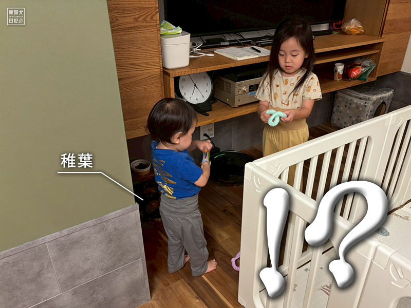 ツンデレ三毛猫の稚葉