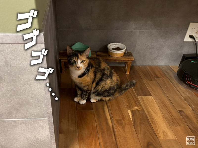 ツンデレ三毛猫の稚葉