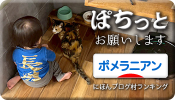 にほんブログ村