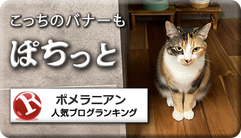 人気ブログランキング