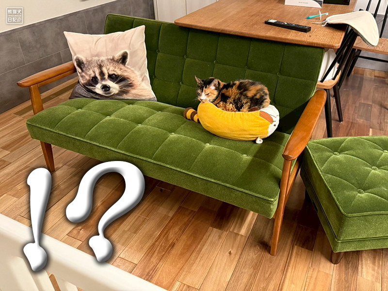 ツンデレ三毛猫の稚葉