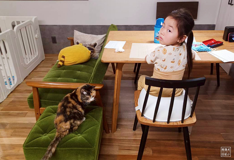 ツンデレ三毛猫の稚葉と小倅