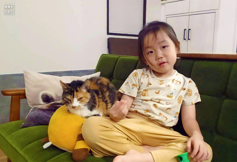 ツンデレ三毛猫の稚葉と小倅