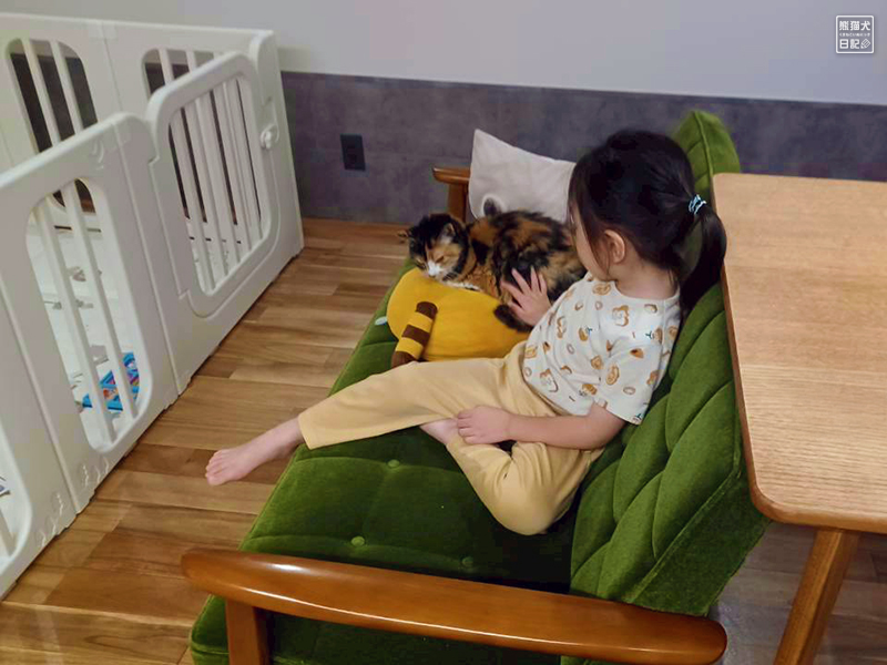 ツンデレ三毛猫の稚葉と小倅