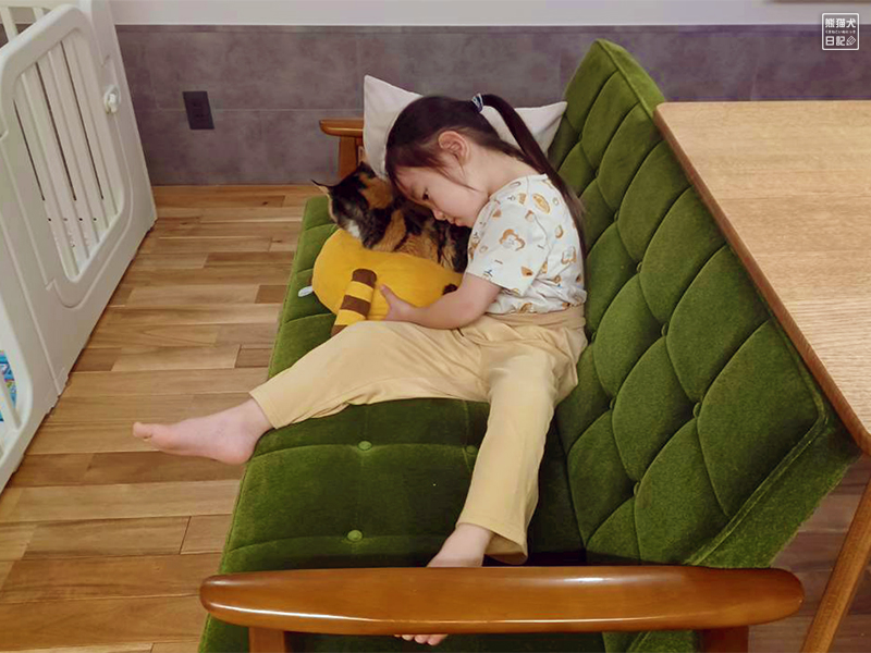 ツンデレ三毛猫の稚葉と小倅