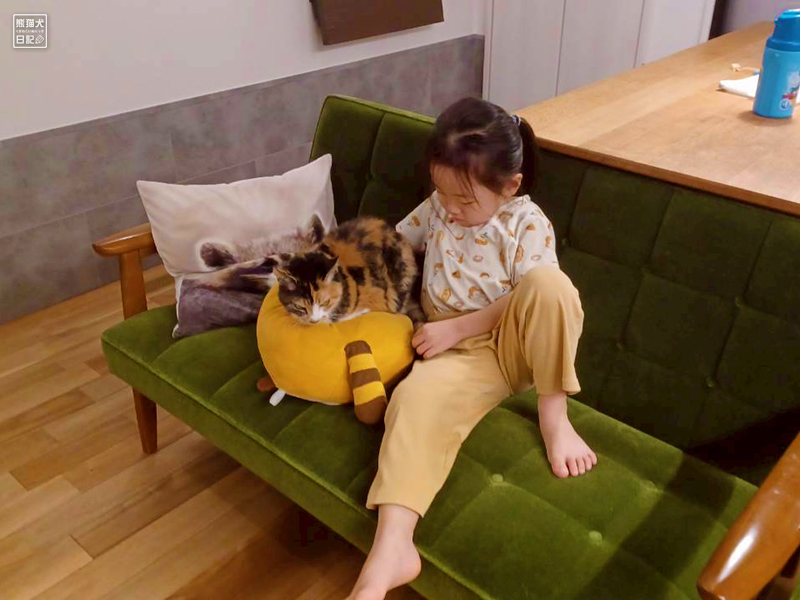 ツンデレ三毛猫の稚葉と小倅