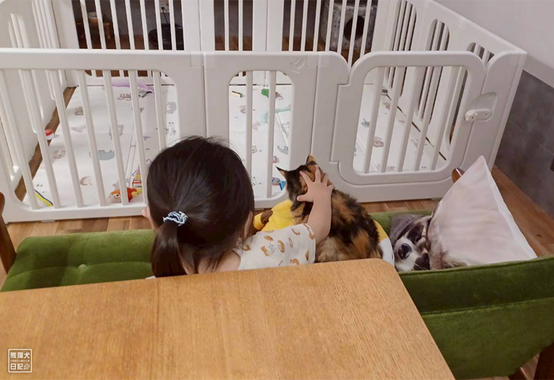 ツンデレ三毛猫の稚葉と小倅