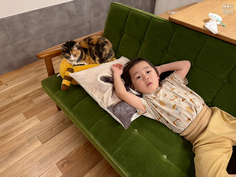 ツンデレ三毛猫の稚葉と小倅