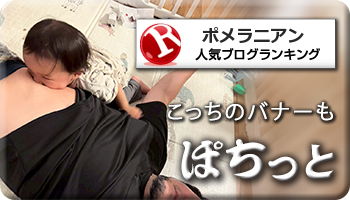 人気ブログランキング