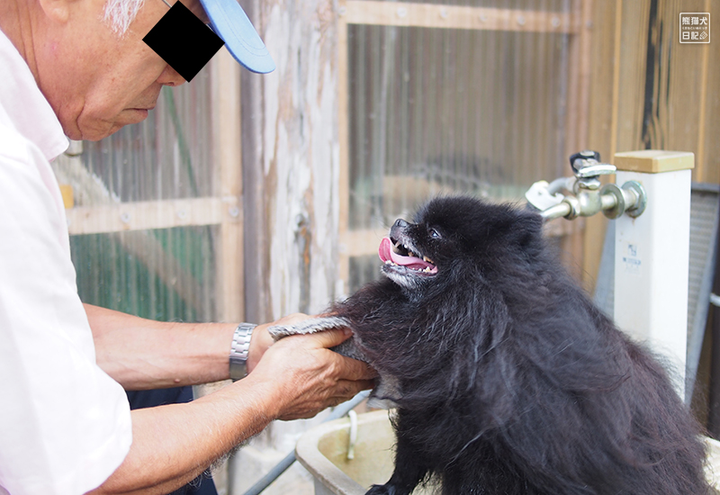 親父とポメラニアン志熊