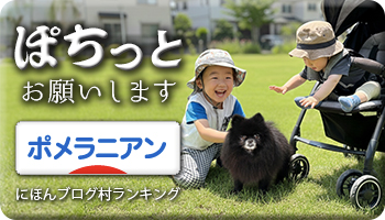 にほんブログ村