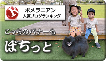 人気ブログランキング