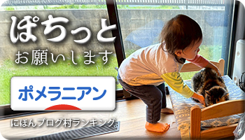 にほんブログ村