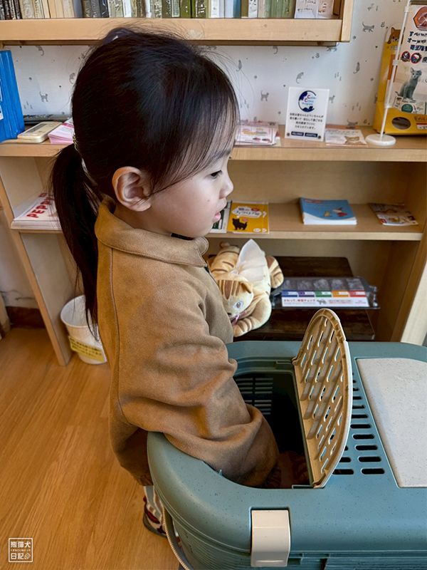 小倅とツンデレ三毛猫の稚葉