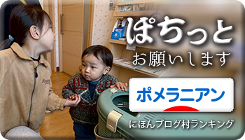 にほんブログ村