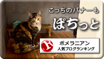 人気ブログランキング