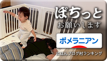 にほんブログ村