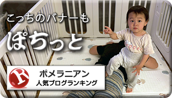 人気ブログランキング