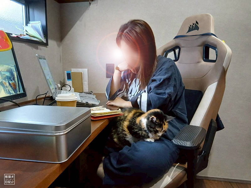 ツンデレ三毛猫の稚葉