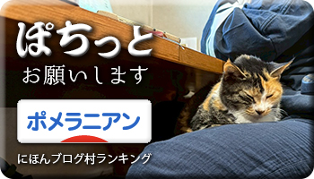 にほんブログ村