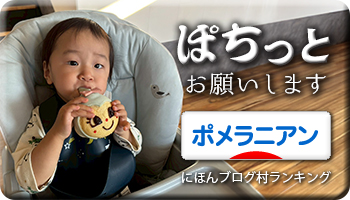 にほんブログ村