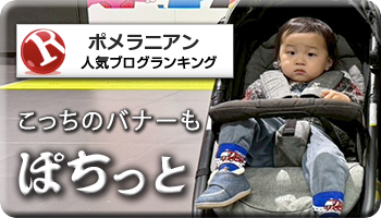 人気ブログランキング