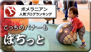 人気ブログランキング