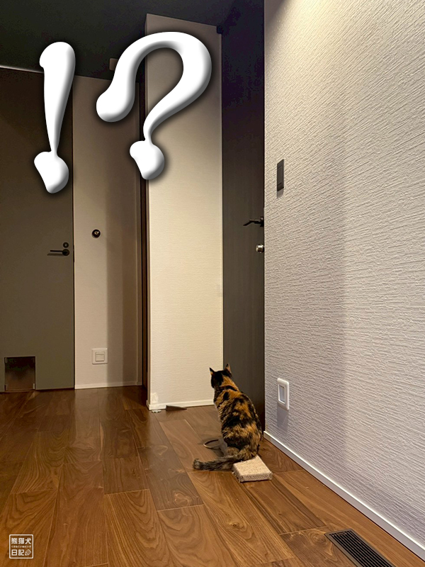 ツンデレ三毛猫の稚葉