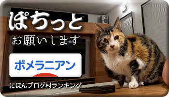 にほんブログ村