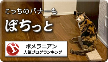 人気ブログランキング