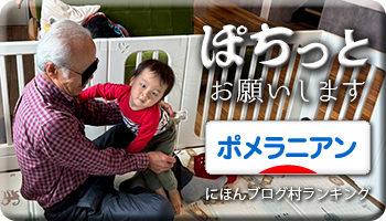 にほんブログ村