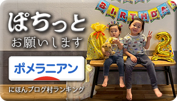 にほんブログ村