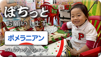 にほんブログ村