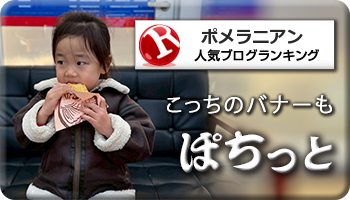 人気ブログランキング