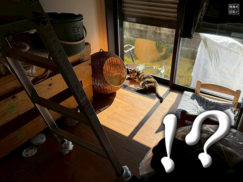 ツンデレ三毛猫の稚葉とクロス貼り直し工事