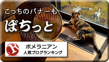 人気ブログランキング