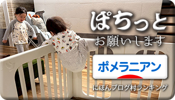 にほんブログ村