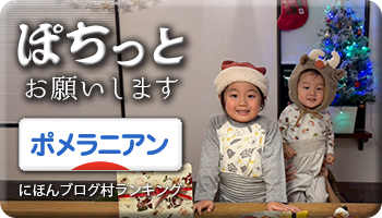 にほんブログ村