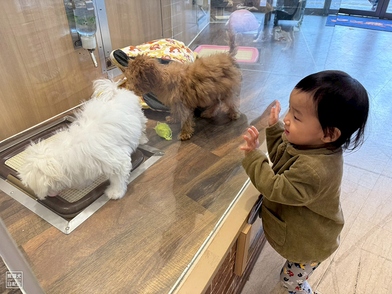犬好きの１歳児