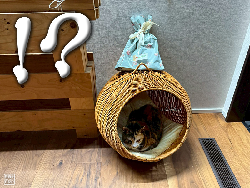 ツンデレ三毛猫の稚葉