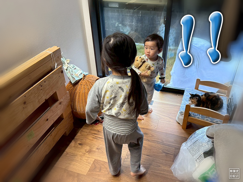 ツンデレ三毛猫の稚葉へのクリスマスプレゼント