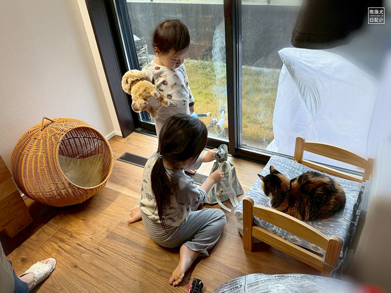 ツンデレ三毛猫の稚葉へのクリスマスプレゼント