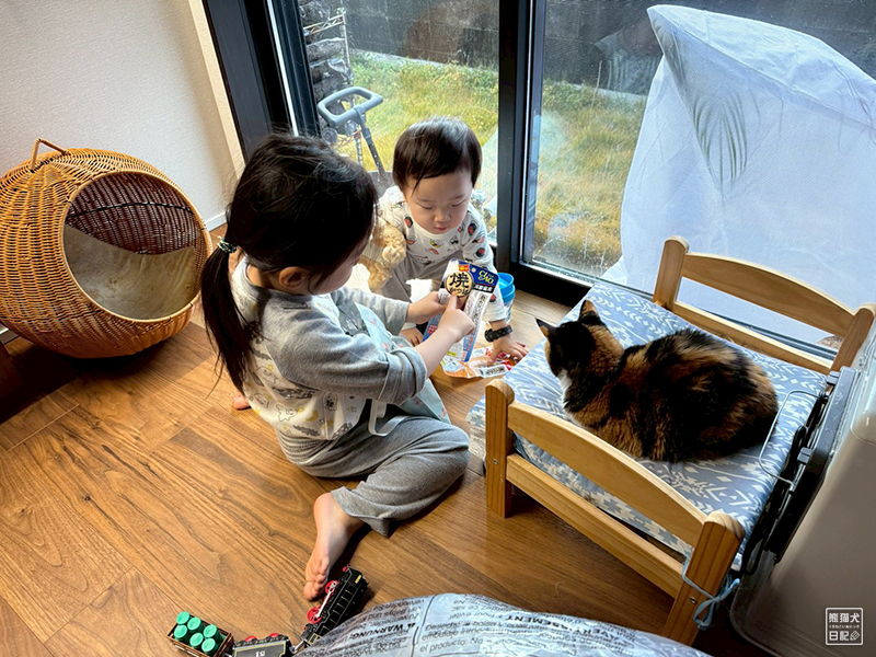 ツンデレ三毛猫の稚葉へのクリスマスプレゼント