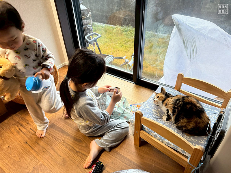 ツンデレ三毛猫の稚葉へのクリスマスプレゼント