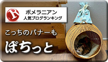 人気ブログランキング